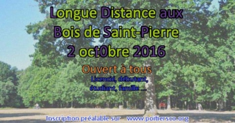 LD Bois de Saint-Pierre