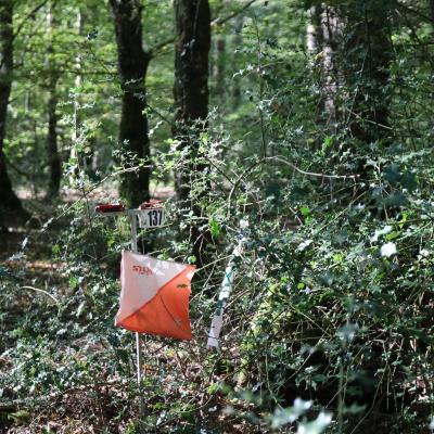 310069165 593819832538476 8673147515293228100 N