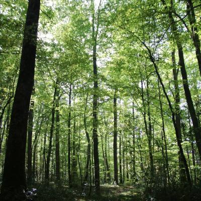 310103821 593819909205135 4481849602634679127 N